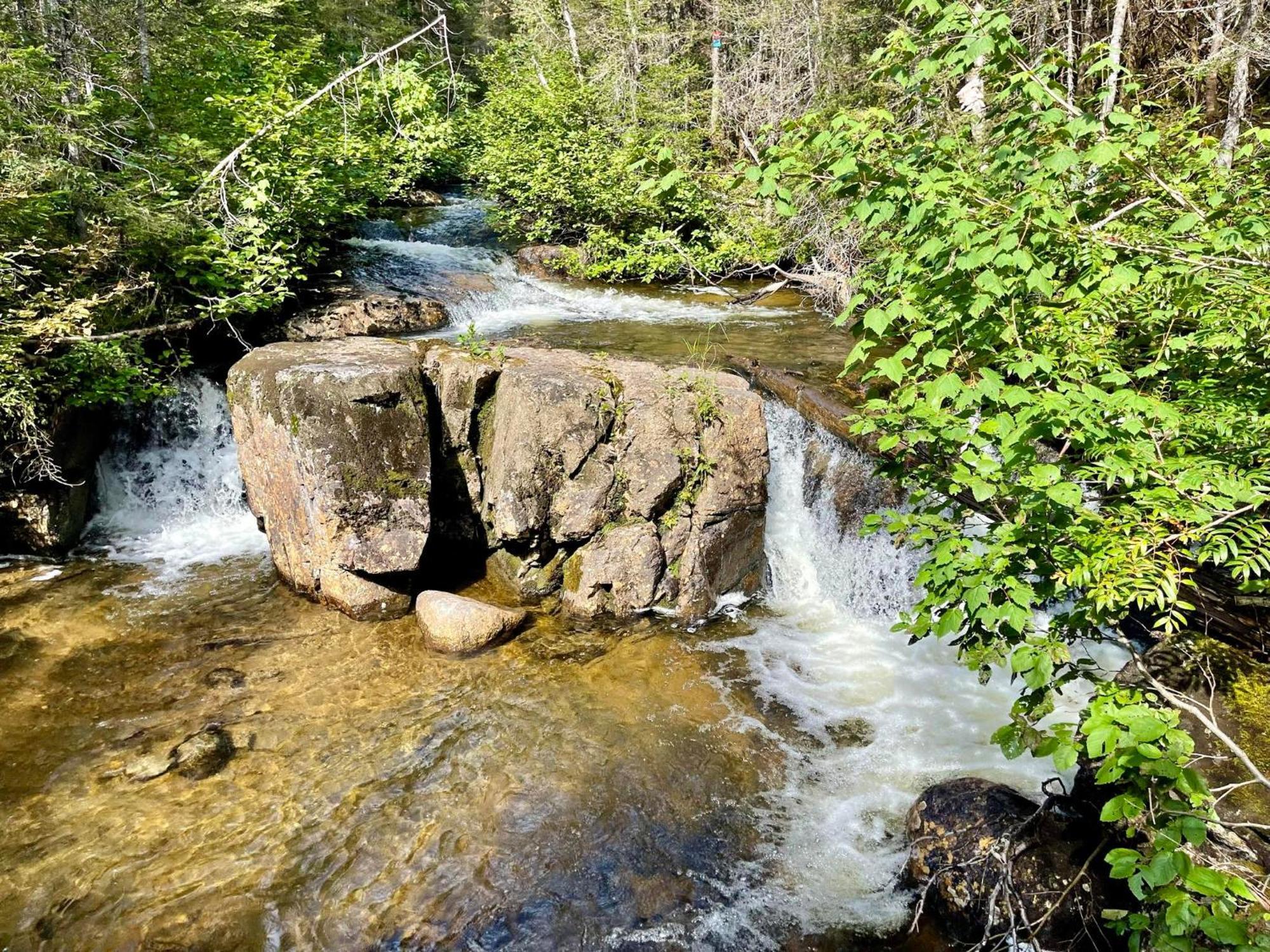 Imago Village Saint-David-de-Falardeau Exteriör bild